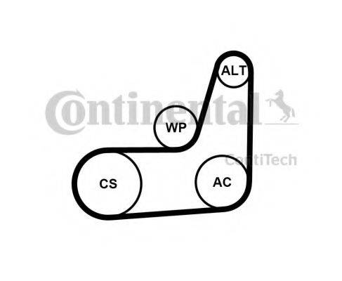 CONTITECH 6 PK 1033